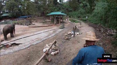 Elephant Ride In Thailand With Amateur Teen Couple Who - hclips.com - Thailand