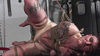 Tattooed slave Ivys suspension bondage whipping and amateur bdsm of tied submissive in hardcore leather strap punishment and caning - ah-me.com