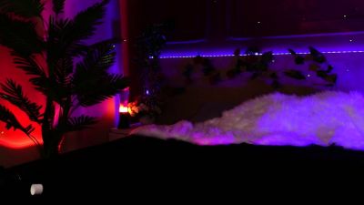 bunnylia Chaturbate xxx naked webcam videos - drtuber.com