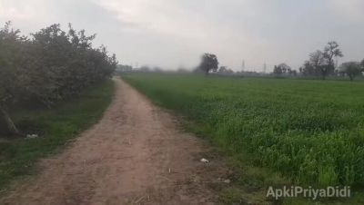 Hot Indian Bhabhi Seduces Devar with Huge Boobs - Desi Homemade Sex - veryfreeporn.com - India - Pakistan