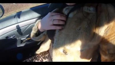 Cheating Latina Wife Gives Blowjob in Fur Coat - Amateur MILF Deep Throat - veryfreeporn.com