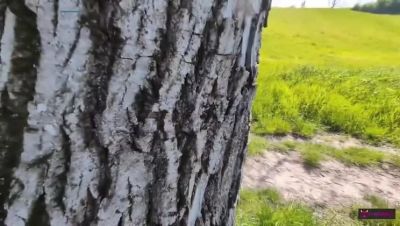 Redhead Wife Gives Risky Outdoor Blowjob to Stranger's Big Cock - Amateur Homemade - veryfreeporn.com - Italy