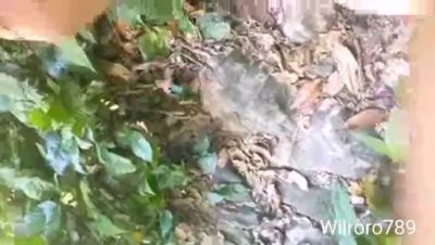 Lost Latina Babe Offers Sex for Ride - Blowjob & Amateur Fun with Karol Wendy - xxxfiles.com