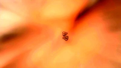 SEXY AMATEUR BABE MASTURBATING IN THE SHOWER - drtuber.com