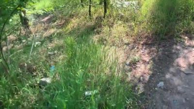 Couple Fucking In Public Place In Park, Beautiful Girl - Beautiful Girls - hclips.com - Estonia