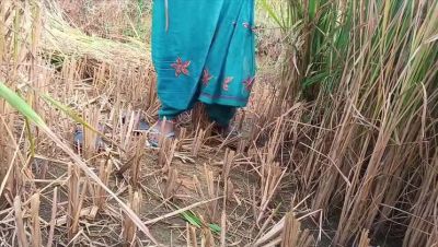 First Time Desi Bhabhi Fucked Hard in Paddy Fields - Homemade Indian Sex - veryfreeporn.com - Russia - France - India