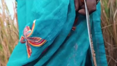 First Time Desi Bhabhi Fucked Hard in Paddy Fields - Homemade Indian Sex - veryfreeporn.com - Russia - France - India