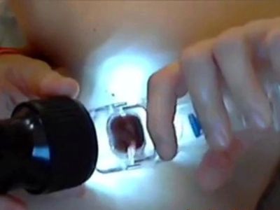 Russian Webcam Girl Uses Anal Speculum for Gaping Show - drtuber.com - Russia