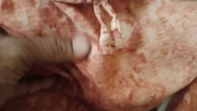 Hot Tamil Wife's Big Boobs Fucked Hard by Husband - Desi Homemade Sex - veryfreeporn.com - India