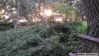 Hot Blonde MILF Gives Outdoor Blowjob & Swallows Cum in Forest - German Amateur POV - veryfreeporn.com - Germany