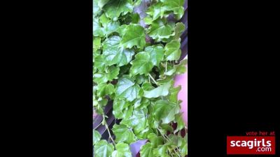 The Hairy Amateur Dream - drtuber.com