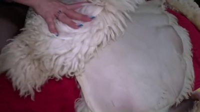 Cum Play With Sexy Fur Rugs 272 With Verified Amateurs - hclips.com