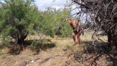 Shy Aboriginal With Verified Amateurs - hclips.com - Russia