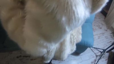 Face Fuck While Wearing White Fur Coat And Ugg Boots 208 With Verified Amateurs - hclips.com