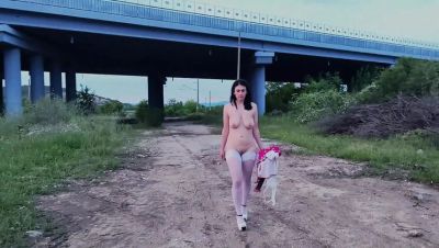 Hd videos